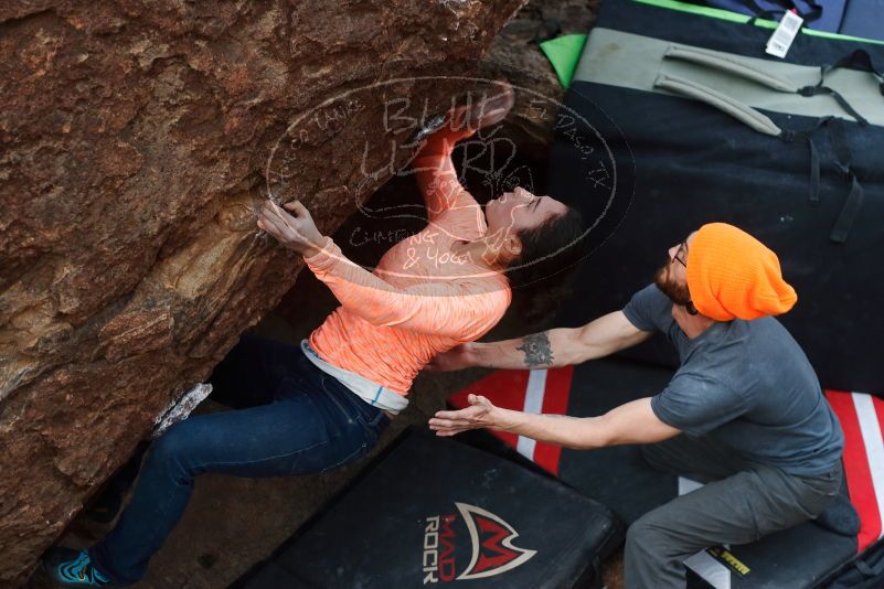 Bouldering in Hueco Tanks on 01/14/2019 with Blue Lizard Climbing and Yoga

Filename: SRM_20190114_1710110.jpg
Aperture: f/4.0
Shutter Speed: 1/250
Body: Canon EOS-1D Mark II
Lens: Canon EF 50mm f/1.8 II