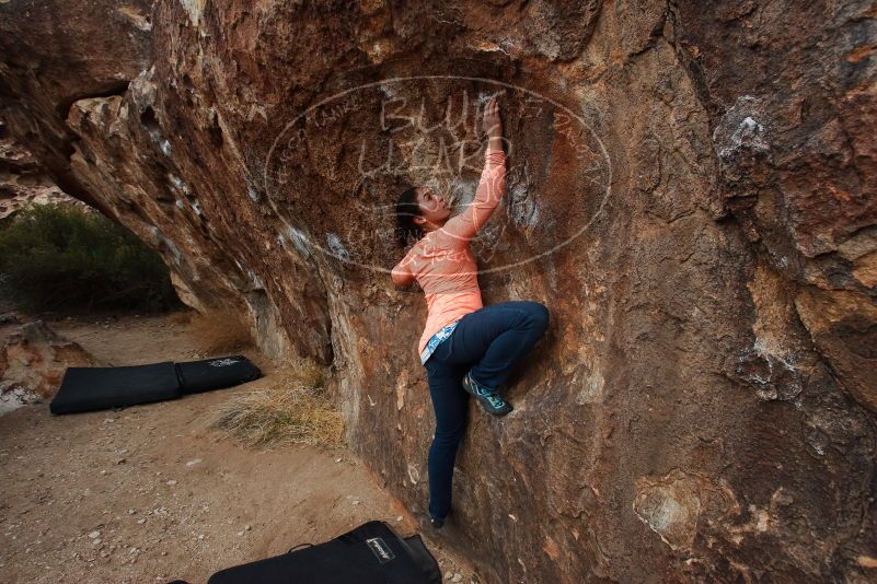 Bouldering in Hueco Tanks on 01/14/2019 with Blue Lizard Climbing and Yoga

Filename: SRM_20190114_1744350.jpg
Aperture: f/6.3
Shutter Speed: 1/200
Body: Canon EOS-1D Mark II
Lens: Canon EF 16-35mm f/2.8 L