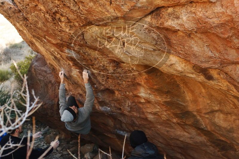 Bouldering in Hueco Tanks on 01/14/2019 with Blue Lizard Climbing and Yoga

Filename: SRM_20190114_1101190.jpg
Aperture: f/4.0
Shutter Speed: 1/250
Body: Canon EOS-1D Mark II
Lens: Canon EF 50mm f/1.8 II