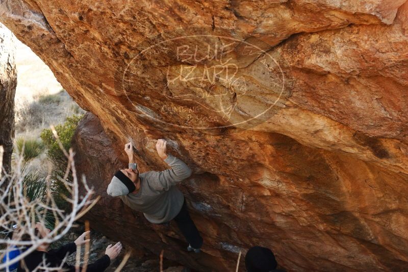 Bouldering in Hueco Tanks on 01/14/2019 with Blue Lizard Climbing and Yoga

Filename: SRM_20190114_1101220.jpg
Aperture: f/4.5
Shutter Speed: 1/250
Body: Canon EOS-1D Mark II
Lens: Canon EF 50mm f/1.8 II