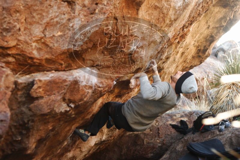 Bouldering in Hueco Tanks on 01/14/2019 with Blue Lizard Climbing and Yoga

Filename: SRM_20190114_1110350.jpg
Aperture: f/2.8
Shutter Speed: 1/250
Body: Canon EOS-1D Mark II
Lens: Canon EF 50mm f/1.8 II