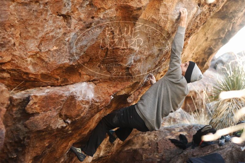 Bouldering in Hueco Tanks on 01/14/2019 with Blue Lizard Climbing and Yoga

Filename: SRM_20190114_1110370.jpg
Aperture: f/2.8
Shutter Speed: 1/250
Body: Canon EOS-1D Mark II
Lens: Canon EF 50mm f/1.8 II