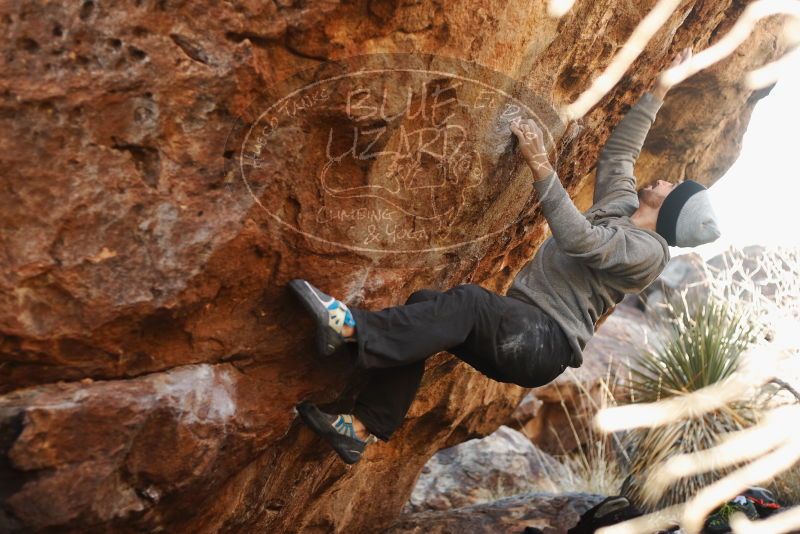 Bouldering in Hueco Tanks on 01/14/2019 with Blue Lizard Climbing and Yoga

Filename: SRM_20190114_1110440.jpg
Aperture: f/2.8
Shutter Speed: 1/250
Body: Canon EOS-1D Mark II
Lens: Canon EF 50mm f/1.8 II