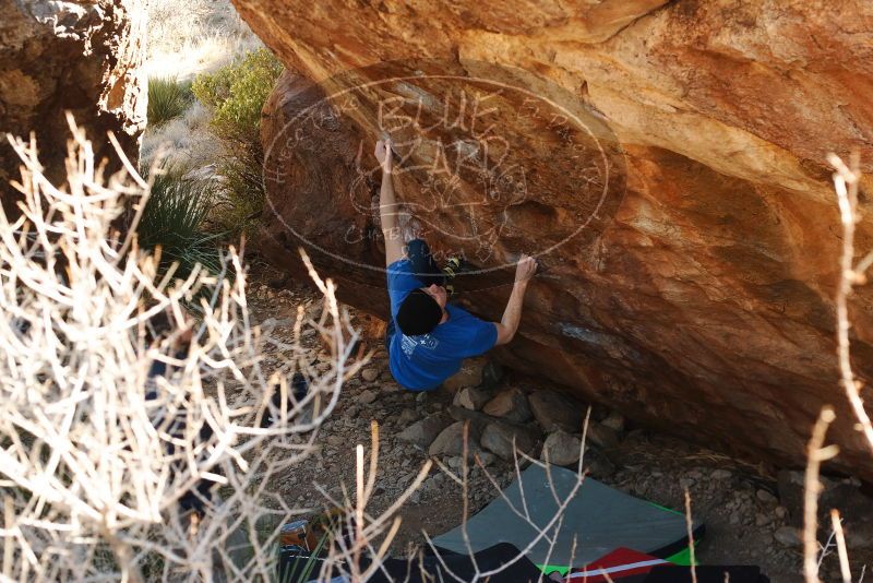 Bouldering in Hueco Tanks on 01/14/2019 with Blue Lizard Climbing and Yoga

Filename: SRM_20190114_1120060.jpg
Aperture: f/4.0
Shutter Speed: 1/250
Body: Canon EOS-1D Mark II
Lens: Canon EF 50mm f/1.8 II