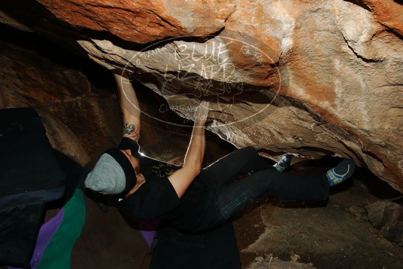 Bouldering in Hueco Tanks on 01/14/2019 with Blue Lizard Climbing and Yoga

Filename: SRM_20190114_1300440.jpg
Aperture: f/8.0
Shutter Speed: 1/250
Body: Canon EOS-1D Mark II
Lens: Canon EF 16-35mm f/2.8 L