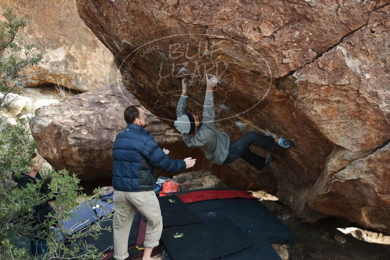 Bouldering in Hueco Tanks on 01/14/2019 with Blue Lizard Climbing and Yoga

Filename: SRM_20190114_1639200.jpg
Aperture: f/2.5
Shutter Speed: 1/400
Body: Canon EOS-1D Mark II
Lens: Canon EF 50mm f/1.8 II