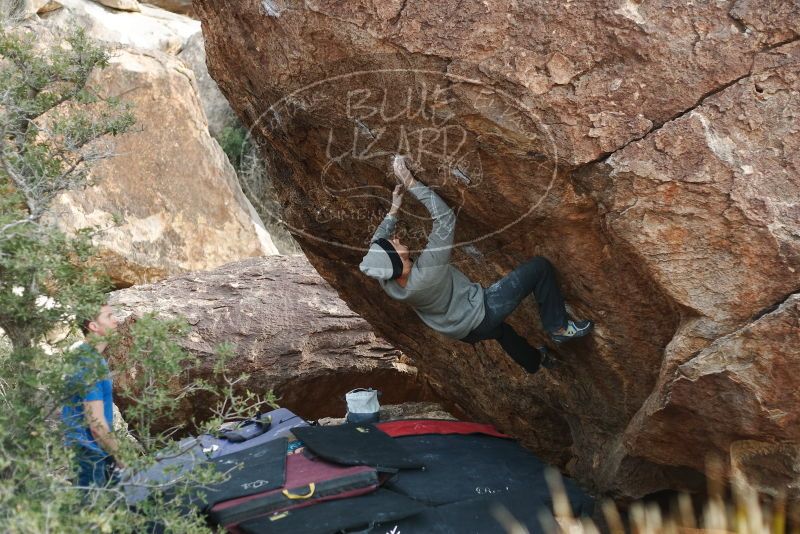 Bouldering in Hueco Tanks on 01/14/2019 with Blue Lizard Climbing and Yoga

Filename: SRM_20190114_1645250.jpg
Aperture: f/2.8
Shutter Speed: 1/320
Body: Canon EOS-1D Mark II
Lens: Canon EF 50mm f/1.8 II