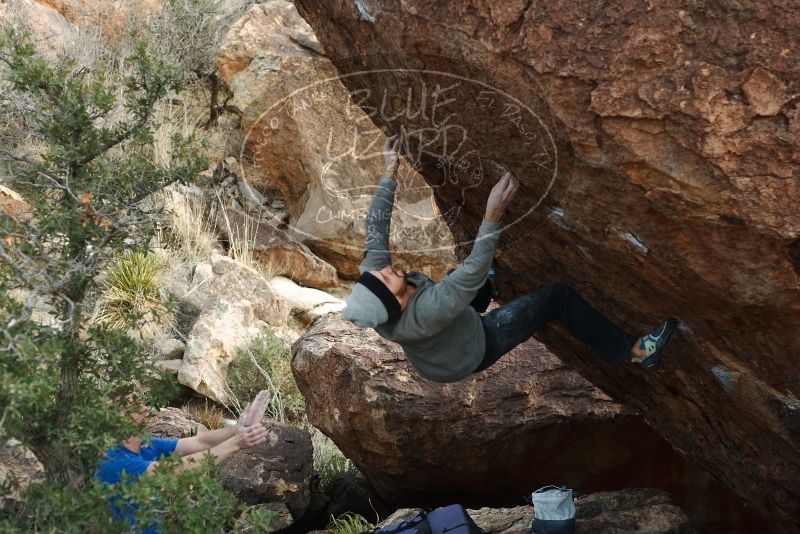 Bouldering in Hueco Tanks on 01/14/2019 with Blue Lizard Climbing and Yoga

Filename: SRM_20190114_1645390.jpg
Aperture: f/3.5
Shutter Speed: 1/320
Body: Canon EOS-1D Mark II
Lens: Canon EF 50mm f/1.8 II