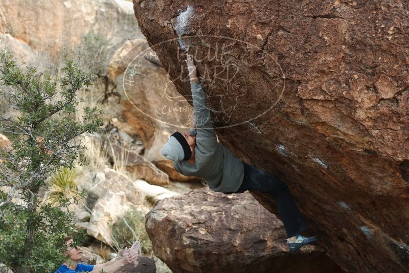 Bouldering in Hueco Tanks on 01/14/2019 with Blue Lizard Climbing and Yoga

Filename: SRM_20190114_1645400.jpg
Aperture: f/3.2
Shutter Speed: 1/320
Body: Canon EOS-1D Mark II
Lens: Canon EF 50mm f/1.8 II