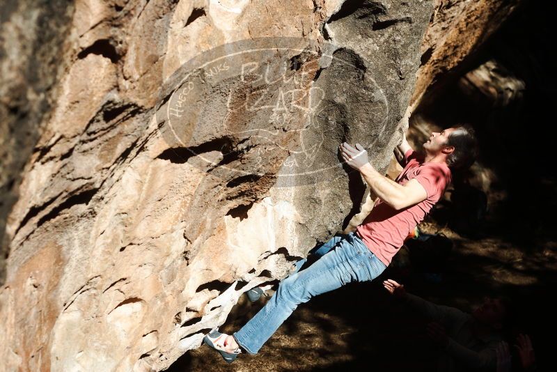 Bouldering in Hueco Tanks on 01/18/2019 with Blue Lizard Climbing and Yoga

Filename: SRM_20190118_1301140.jpg
Aperture: f/4.5
Shutter Speed: 1/1000
Body: Canon EOS-1D Mark II
Lens: Canon EF 50mm f/1.8 II