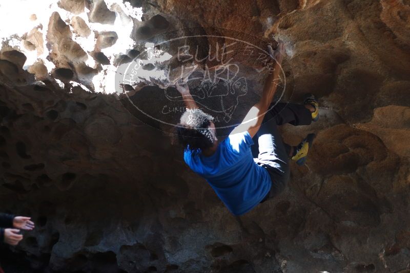 Bouldering in Hueco Tanks on 01/18/2019 with Blue Lizard Climbing and Yoga

Filename: SRM_20190118_1312150.jpg
Aperture: f/2.8
Shutter Speed: 1/320
Body: Canon EOS-1D Mark II
Lens: Canon EF 50mm f/1.8 II