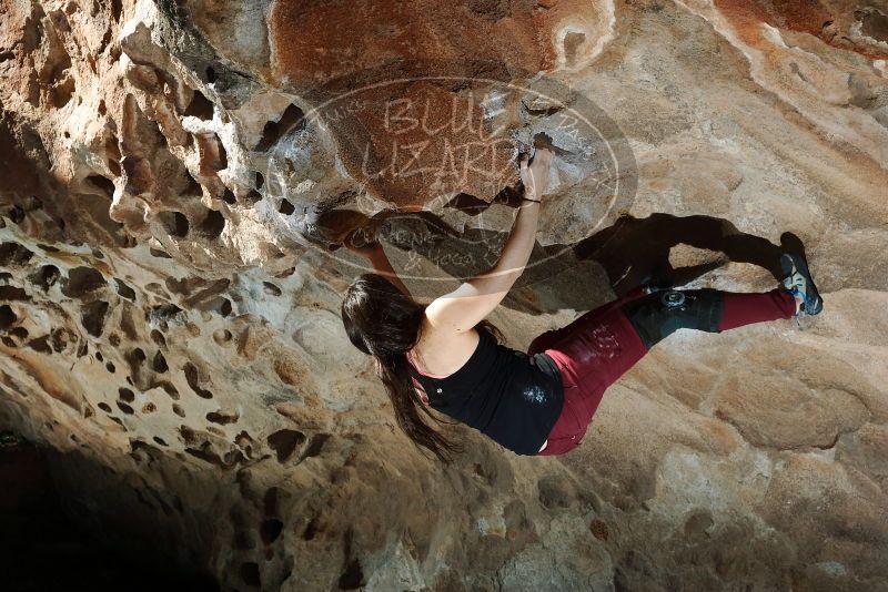 Bouldering in Hueco Tanks on 01/18/2019 with Blue Lizard Climbing and Yoga

Filename: SRM_20190118_1328550.jpg
Aperture: f/6.3
Shutter Speed: 1/250
Body: Canon EOS-1D Mark II
Lens: Canon EF 50mm f/1.8 II