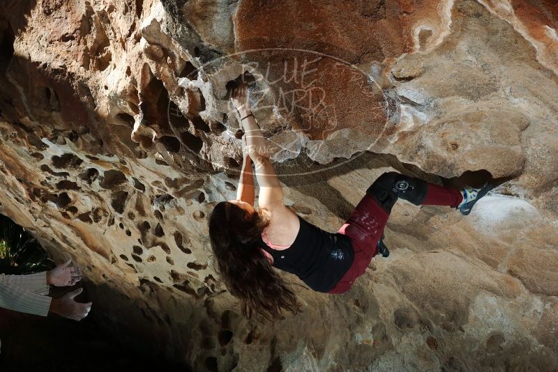 Bouldering in Hueco Tanks on 01/18/2019 with Blue Lizard Climbing and Yoga

Filename: SRM_20190118_1329020.jpg
Aperture: f/6.3
Shutter Speed: 1/250
Body: Canon EOS-1D Mark II
Lens: Canon EF 50mm f/1.8 II