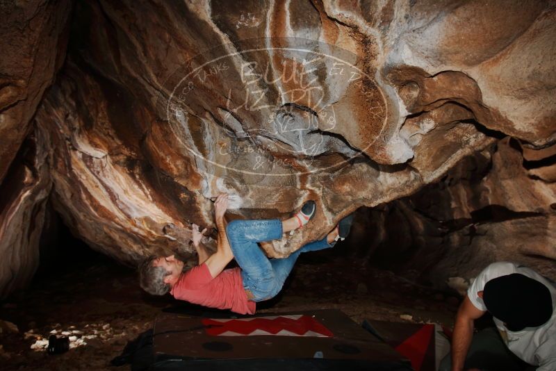 Bouldering in Hueco Tanks on 01/18/2019 with Blue Lizard Climbing and Yoga

Filename: SRM_20190118_1414250.jpg
Aperture: f/8.0
Shutter Speed: 1/250
Body: Canon EOS-1D Mark II
Lens: Canon EF 16-35mm f/2.8 L