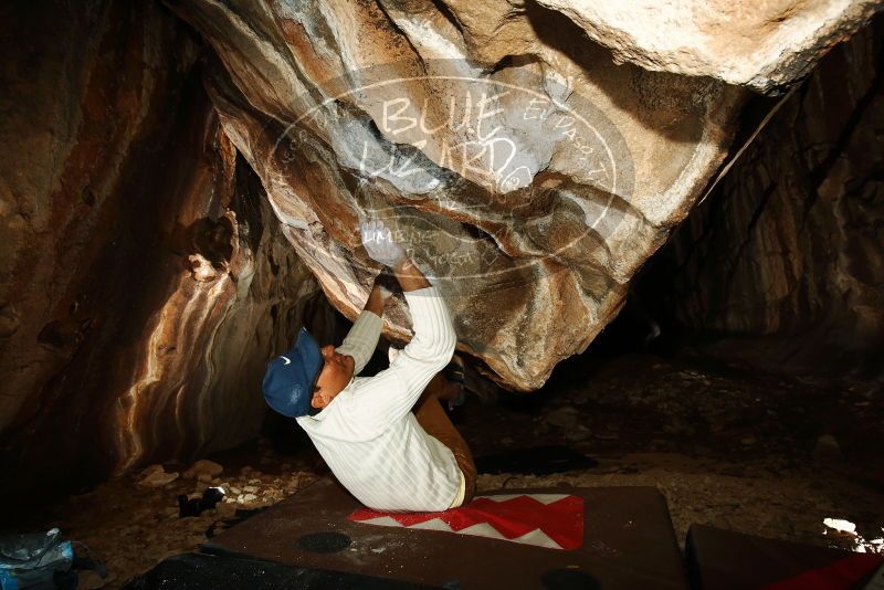 Bouldering in Hueco Tanks on 01/18/2019 with Blue Lizard Climbing and Yoga

Filename: SRM_20190118_1439200.jpg
Aperture: f/8.0
Shutter Speed: 1/250
Body: Canon EOS-1D Mark II
Lens: Canon EF 16-35mm f/2.8 L