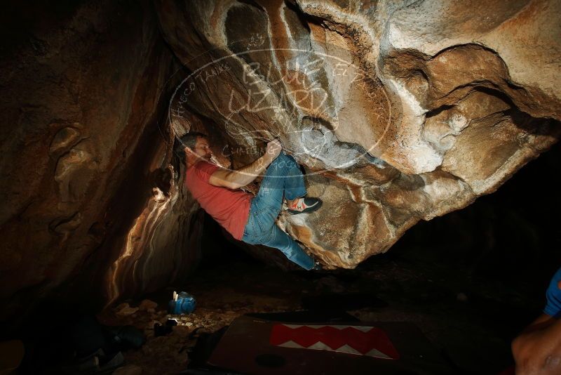 Bouldering in Hueco Tanks on 01/18/2019 with Blue Lizard Climbing and Yoga

Filename: SRM_20190118_1455010.jpg
Aperture: f/8.0
Shutter Speed: 1/250
Body: Canon EOS-1D Mark II
Lens: Canon EF 16-35mm f/2.8 L