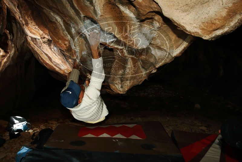 Bouldering in Hueco Tanks on 01/18/2019 with Blue Lizard Climbing and Yoga

Filename: SRM_20190118_1518410.jpg
Aperture: f/8.0
Shutter Speed: 1/250
Body: Canon EOS-1D Mark II
Lens: Canon EF 16-35mm f/2.8 L