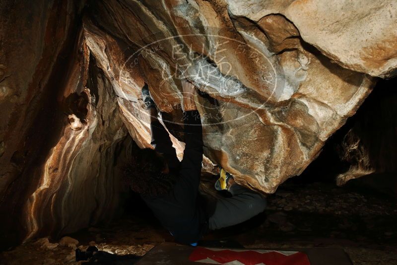 Bouldering in Hueco Tanks on 01/18/2019 with Blue Lizard Climbing and Yoga

Filename: SRM_20190118_1545050.jpg
Aperture: f/8.0
Shutter Speed: 1/250
Body: Canon EOS-1D Mark II
Lens: Canon EF 16-35mm f/2.8 L