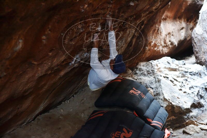 Bouldering in Hueco Tanks on 01/18/2019 with Blue Lizard Climbing and Yoga

Filename: SRM_20190118_1601140.jpg
Aperture: f/2.5
Shutter Speed: 1/125
Body: Canon EOS-1D Mark II
Lens: Canon EF 50mm f/1.8 II