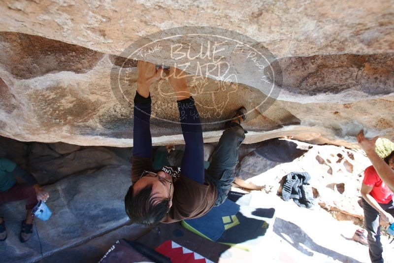 Bouldering in Hueco Tanks on 01/19/2019 with Blue Lizard Climbing and Yoga

Filename: SRM_20190119_1135340.jpg
Aperture: f/5.6
Shutter Speed: 1/250
Body: Canon EOS-1D Mark II
Lens: Canon EF 16-35mm f/2.8 L