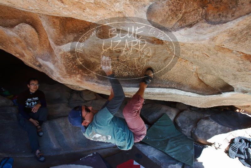 Bouldering in Hueco Tanks on 01/19/2019 with Blue Lizard Climbing and Yoga

Filename: SRM_20190119_1155500.jpg
Aperture: f/5.6
Shutter Speed: 1/250
Body: Canon EOS-1D Mark II
Lens: Canon EF 16-35mm f/2.8 L