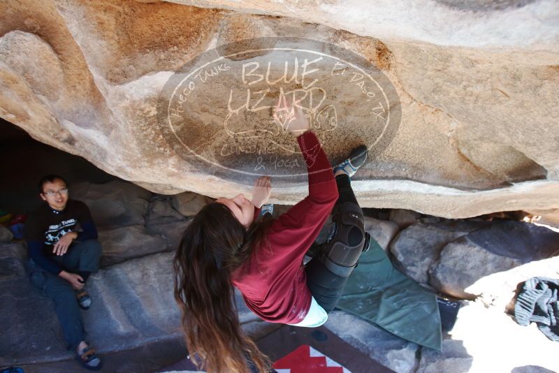 Bouldering in Hueco Tanks on 01/19/2019 with Blue Lizard Climbing and Yoga

Filename: SRM_20190119_1156410.jpg
Aperture: f/5.0
Shutter Speed: 1/250
Body: Canon EOS-1D Mark II
Lens: Canon EF 16-35mm f/2.8 L