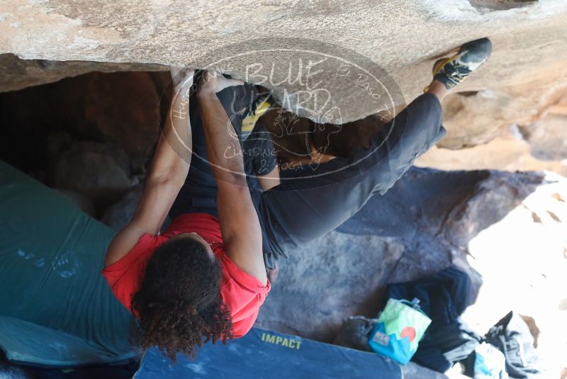 Bouldering in Hueco Tanks on 01/19/2019 with Blue Lizard Climbing and Yoga

Filename: SRM_20190119_1302180.jpg
Aperture: f/4.5
Shutter Speed: 1/250
Body: Canon EOS-1D Mark II
Lens: Canon EF 50mm f/1.8 II