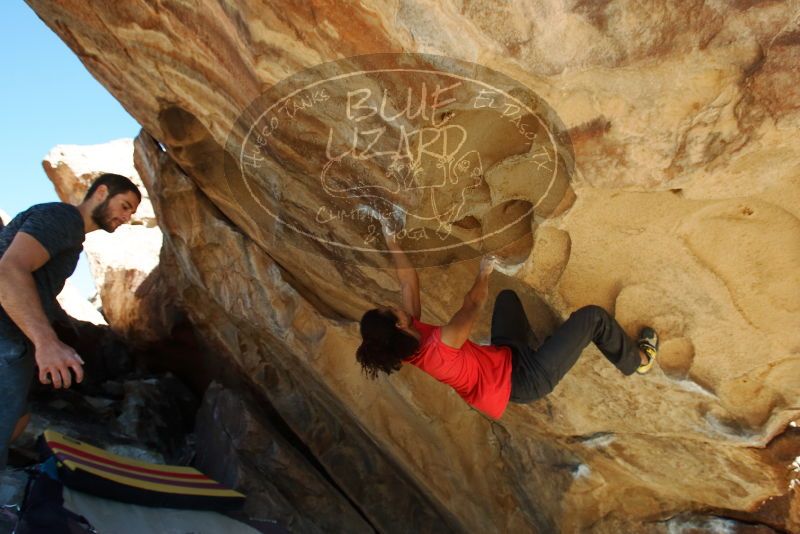 Bouldering in Hueco Tanks on 01/19/2019 with Blue Lizard Climbing and Yoga

Filename: SRM_20190119_1404130.jpg
Aperture: f/6.3
Shutter Speed: 1/320
Body: Canon EOS-1D Mark II
Lens: Canon EF 16-35mm f/2.8 L