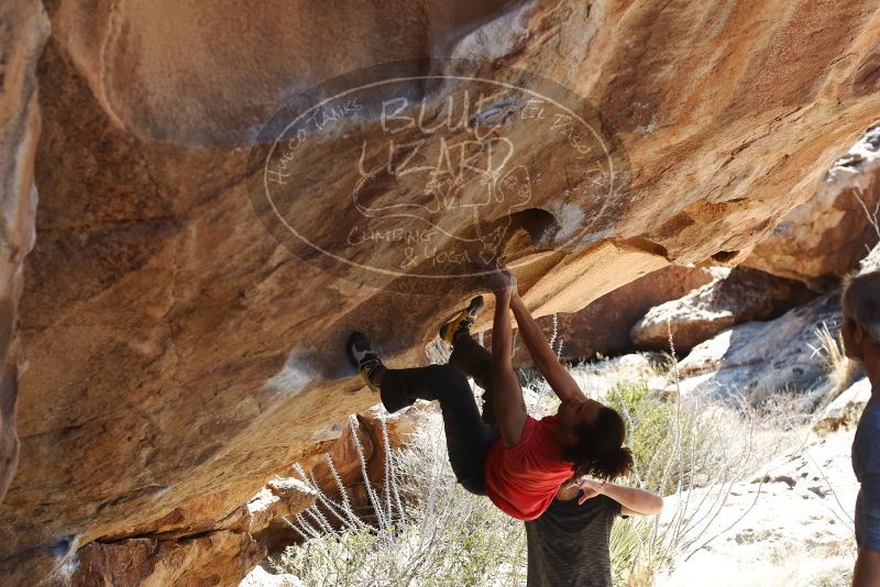 Bouldering in Hueco Tanks on 01/19/2019 with Blue Lizard Climbing and Yoga

Filename: SRM_20190119_1423550.jpg
Aperture: f/4.0
Shutter Speed: 1/500
Body: Canon EOS-1D Mark II
Lens: Canon EF 50mm f/1.8 II