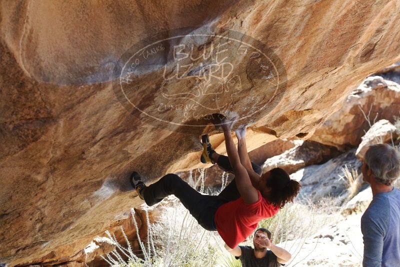 Bouldering in Hueco Tanks on 01/19/2019 with Blue Lizard Climbing and Yoga

Filename: SRM_20190119_1424030.jpg
Aperture: f/3.5
Shutter Speed: 1/500
Body: Canon EOS-1D Mark II
Lens: Canon EF 50mm f/1.8 II