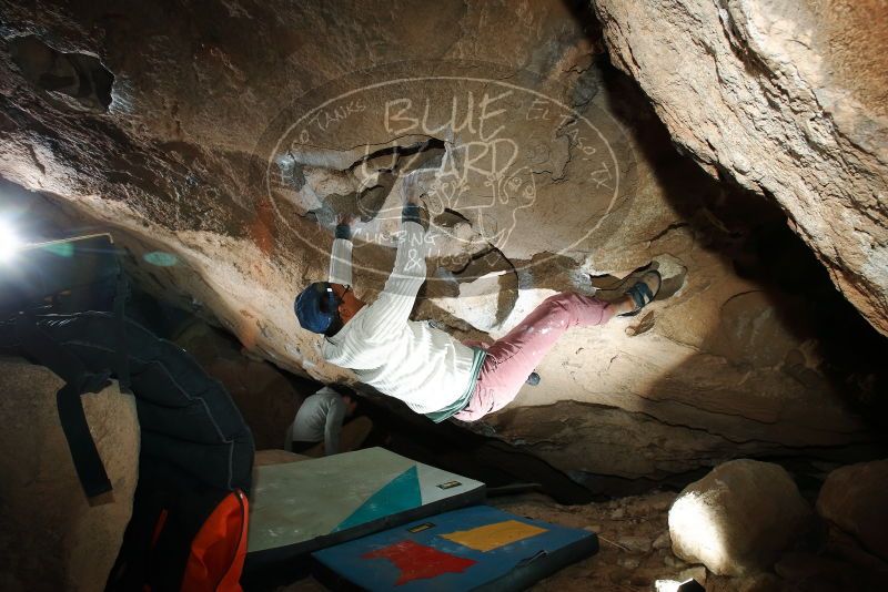 Bouldering in Hueco Tanks on 01/19/2019 with Blue Lizard Climbing and Yoga

Filename: SRM_20190119_1649460.jpg
Aperture: f/8.0
Shutter Speed: 1/250
Body: Canon EOS-1D Mark II
Lens: Canon EF 16-35mm f/2.8 L