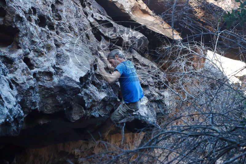 Bouldering in Hueco Tanks on 01/20/2019 with Blue Lizard Climbing and Yoga

Filename: SRM_20190120_1126200.jpg
Aperture: f/5.6
Shutter Speed: 1/200
Body: Canon EOS-1D Mark II
Lens: Canon EF 50mm f/1.8 II