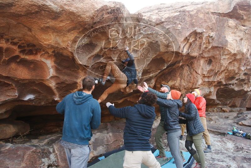 Bouldering in Hueco Tanks on 01/20/2019 with Blue Lizard Climbing and Yoga

Filename: SRM_20190120_1620100.jpg
Aperture: f/5.6
Shutter Speed: 1/250
Body: Canon EOS-1D Mark II
Lens: Canon EF 16-35mm f/2.8 L