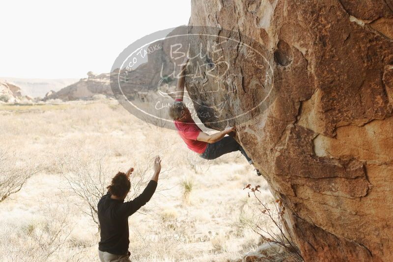 Bouldering in Hueco Tanks on 01/21/2019 with Blue Lizard Climbing and Yoga

Filename: SRM_20190121_1026260.jpg
Aperture: f/3.5
Shutter Speed: 1/250
Body: Canon EOS-1D Mark II
Lens: Canon EF 50mm f/1.8 II