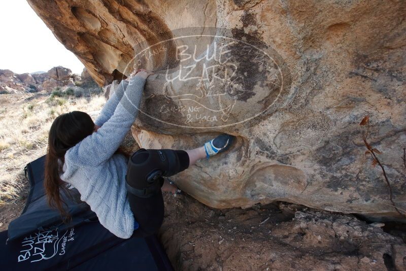 Bouldering in Hueco Tanks on 01/21/2019 with Blue Lizard Climbing and Yoga

Filename: SRM_20190121_1104210.jpg
Aperture: f/7.1
Shutter Speed: 1/250
Body: Canon EOS-1D Mark II
Lens: Canon EF 16-35mm f/2.8 L