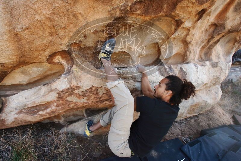 Bouldering in Hueco Tanks on 01/21/2019 with Blue Lizard Climbing and Yoga

Filename: SRM_20190121_1112140.jpg
Aperture: f/6.3
Shutter Speed: 1/250
Body: Canon EOS-1D Mark II
Lens: Canon EF 16-35mm f/2.8 L