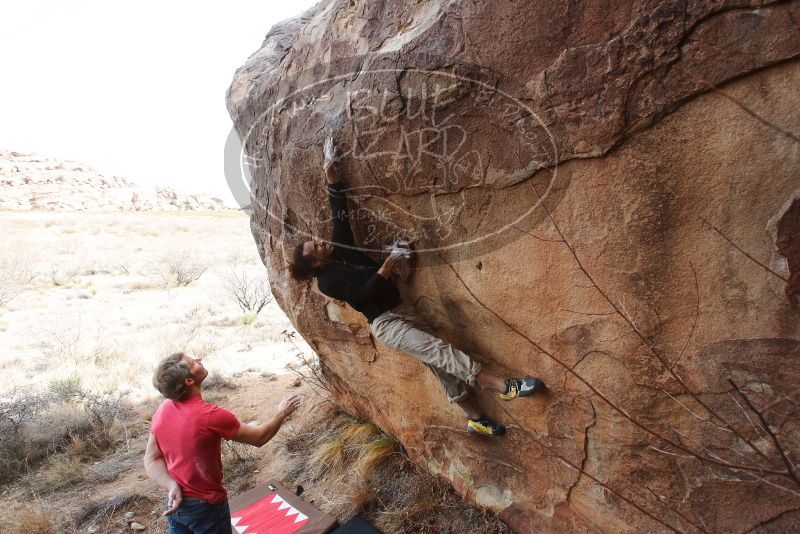 Bouldering in Hueco Tanks on 01/21/2019 with Blue Lizard Climbing and Yoga

Filename: SRM_20190121_1131350.jpg
Aperture: f/6.3
Shutter Speed: 1/250
Body: Canon EOS-1D Mark II
Lens: Canon EF 16-35mm f/2.8 L