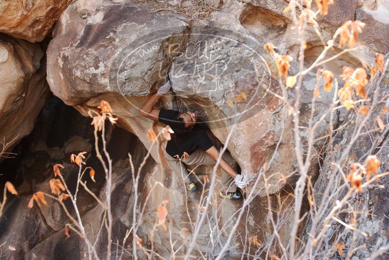 Bouldering in Hueco Tanks on 01/21/2019 with Blue Lizard Climbing and Yoga

Filename: SRM_20190121_1236291.jpg
Aperture: f/5.6
Shutter Speed: 1/250
Body: Canon EOS-1D Mark II
Lens: Canon EF 16-35mm f/2.8 L