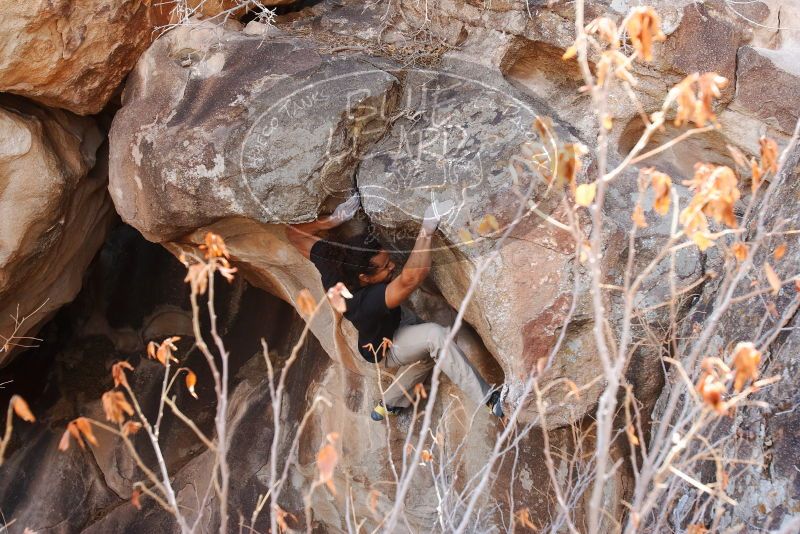 Bouldering in Hueco Tanks on 01/21/2019 with Blue Lizard Climbing and Yoga

Filename: SRM_20190121_1236360.jpg
Aperture: f/5.6
Shutter Speed: 1/250
Body: Canon EOS-1D Mark II
Lens: Canon EF 16-35mm f/2.8 L