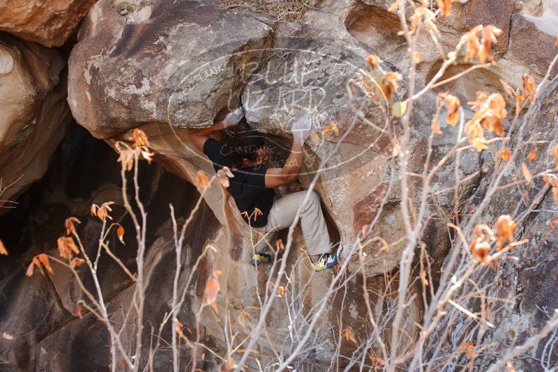 Bouldering in Hueco Tanks on 01/21/2019 with Blue Lizard Climbing and Yoga

Filename: SRM_20190121_1236450.jpg
Aperture: f/5.6
Shutter Speed: 1/250
Body: Canon EOS-1D Mark II
Lens: Canon EF 16-35mm f/2.8 L