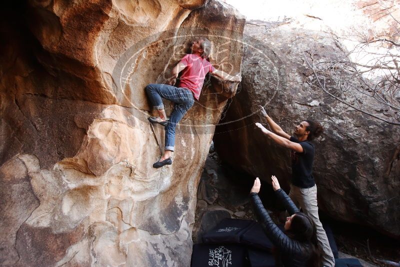 Bouldering in Hueco Tanks on 01/21/2019 with Blue Lizard Climbing and Yoga

Filename: SRM_20190121_1238520.jpg
Aperture: f/4.5
Shutter Speed: 1/200
Body: Canon EOS-1D Mark II
Lens: Canon EF 16-35mm f/2.8 L