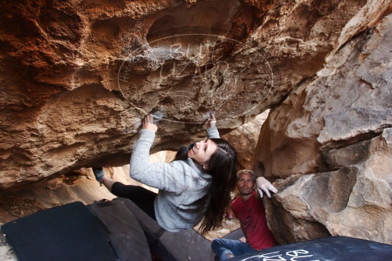 Bouldering in Hueco Tanks on 01/21/2019 with Blue Lizard Climbing and Yoga

Filename: SRM_20190121_1306530.jpg
Aperture: f/3.5
Shutter Speed: 1/200
Body: Canon EOS-1D Mark II
Lens: Canon EF 16-35mm f/2.8 L