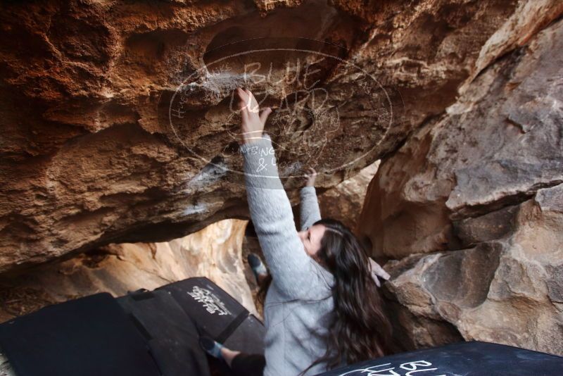 Bouldering in Hueco Tanks on 01/21/2019 with Blue Lizard Climbing and Yoga

Filename: SRM_20190121_1306533.jpg
Aperture: f/4.0
Shutter Speed: 1/200
Body: Canon EOS-1D Mark II
Lens: Canon EF 16-35mm f/2.8 L