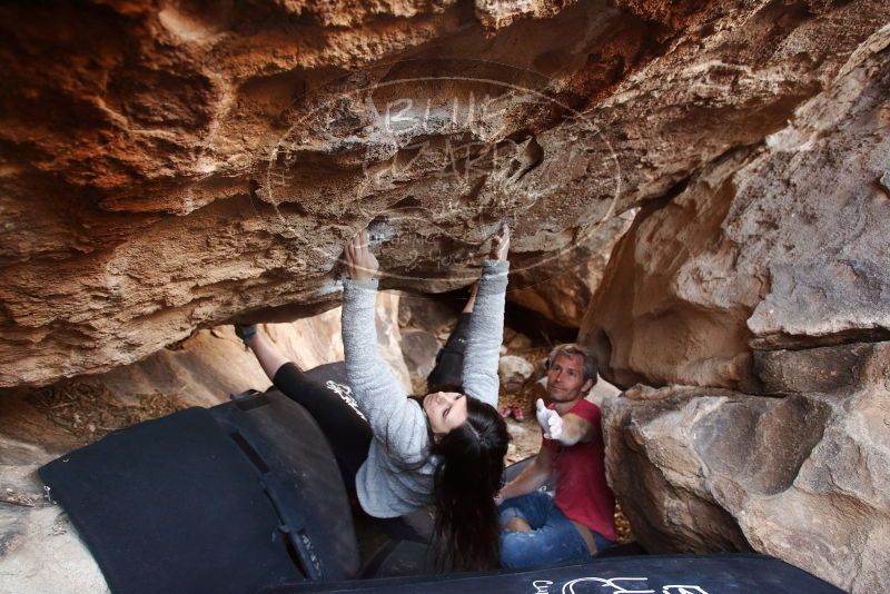 Bouldering in Hueco Tanks on 01/21/2019 with Blue Lizard Climbing and Yoga

Filename: SRM_20190121_1307400.jpg
Aperture: f/3.5
Shutter Speed: 1/200
Body: Canon EOS-1D Mark II
Lens: Canon EF 16-35mm f/2.8 L