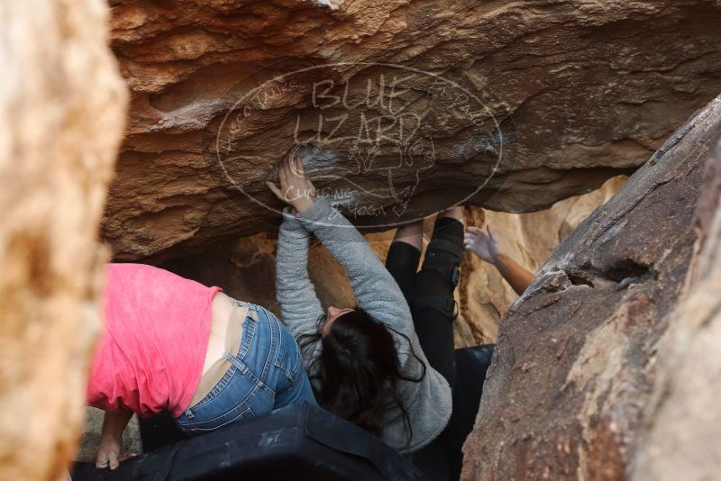 Bouldering in Hueco Tanks on 01/21/2019 with Blue Lizard Climbing and Yoga

Filename: SRM_20190121_1336131.jpg
Aperture: f/4.0
Shutter Speed: 1/250
Body: Canon EOS-1D Mark II
Lens: Canon EF 50mm f/1.8 II