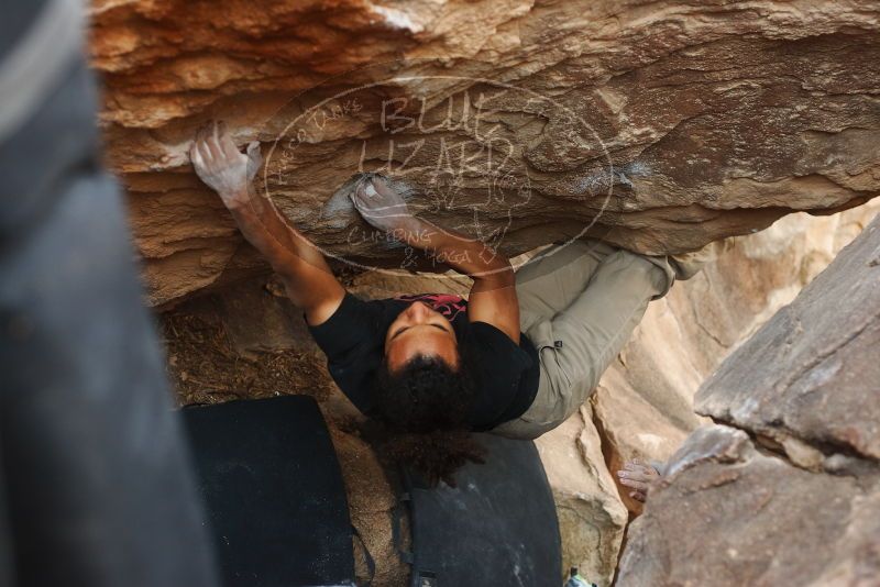 Bouldering in Hueco Tanks on 01/21/2019 with Blue Lizard Climbing and Yoga

Filename: SRM_20190121_1345122.jpg
Aperture: f/3.5
Shutter Speed: 1/250
Body: Canon EOS-1D Mark II
Lens: Canon EF 50mm f/1.8 II