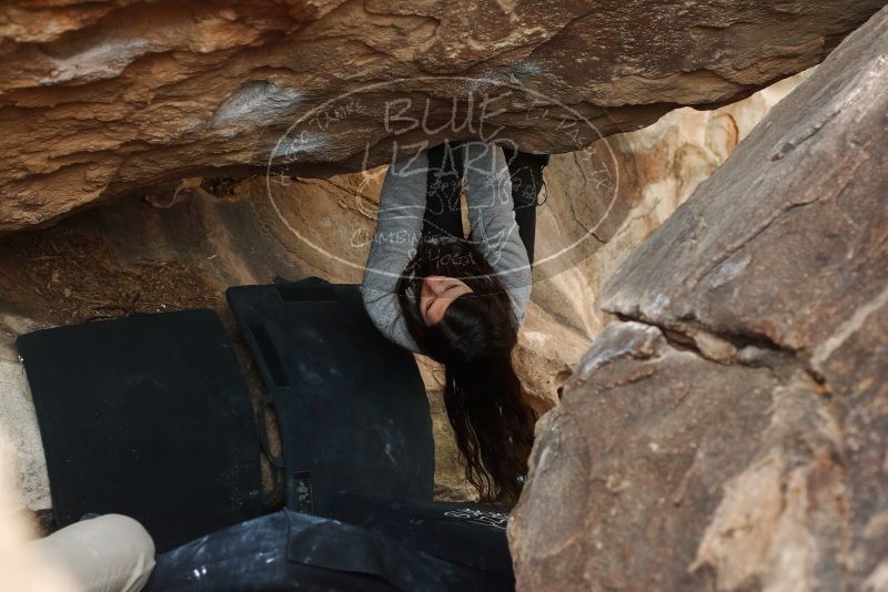 Bouldering in Hueco Tanks on 01/21/2019 with Blue Lizard Climbing and Yoga

Filename: SRM_20190121_1347110.jpg
Aperture: f/4.0
Shutter Speed: 1/250
Body: Canon EOS-1D Mark II
Lens: Canon EF 50mm f/1.8 II