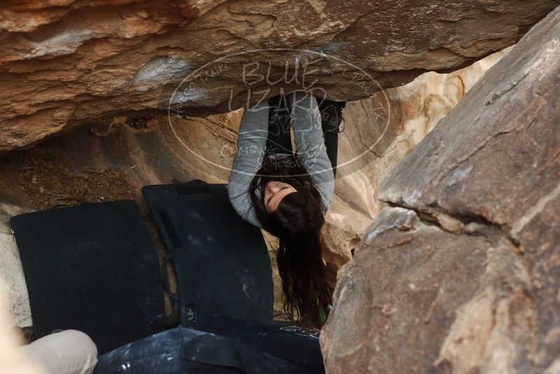 Bouldering in Hueco Tanks on 01/21/2019 with Blue Lizard Climbing and Yoga

Filename: SRM_20190121_1347111.jpg
Aperture: f/4.0
Shutter Speed: 1/250
Body: Canon EOS-1D Mark II
Lens: Canon EF 50mm f/1.8 II