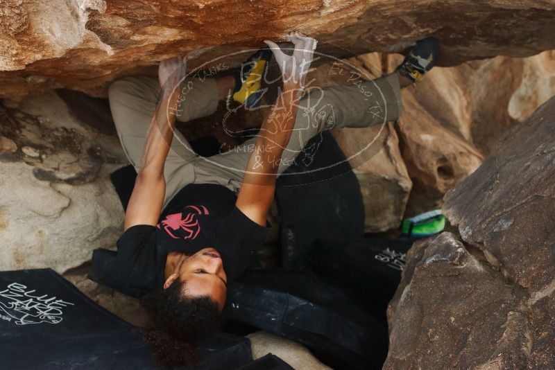 Bouldering in Hueco Tanks on 01/21/2019 with Blue Lizard Climbing and Yoga

Filename: SRM_20190121_1348440.jpg
Aperture: f/5.0
Shutter Speed: 1/250
Body: Canon EOS-1D Mark II
Lens: Canon EF 50mm f/1.8 II