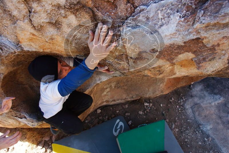 Bouldering in Hueco Tanks on 01/26/2019 with Blue Lizard Climbing and Yoga

Filename: SRM_20190126_1103320.jpg
Aperture: f/5.6
Shutter Speed: 1/250
Body: Canon EOS-1D Mark II
Lens: Canon EF 16-35mm f/2.8 L